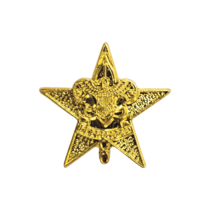Scouts BSA Star Scout Rank Parents Pin featuring classic BSA Eagle emblem and Be Prepared banner.