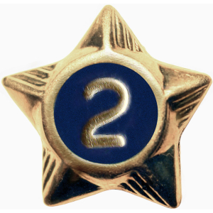 Service Star - 2 Years