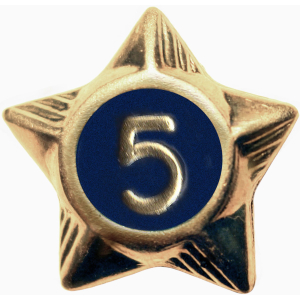 Service Star - 5 Years