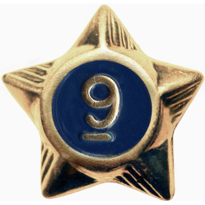 Service Star - 9 Years