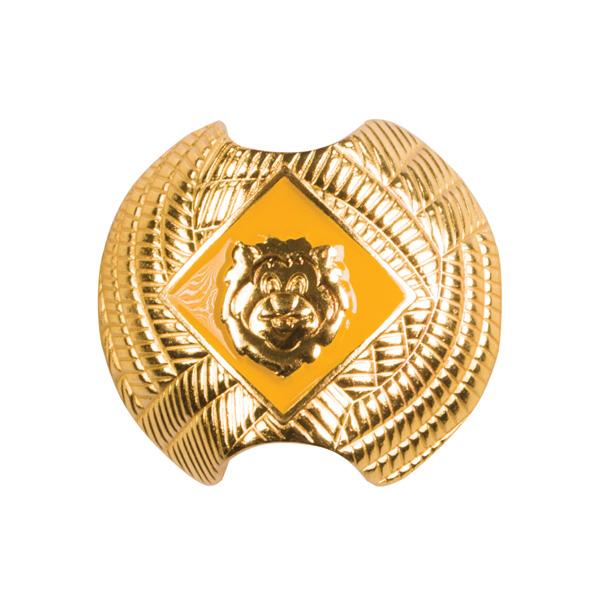 Lion Slide