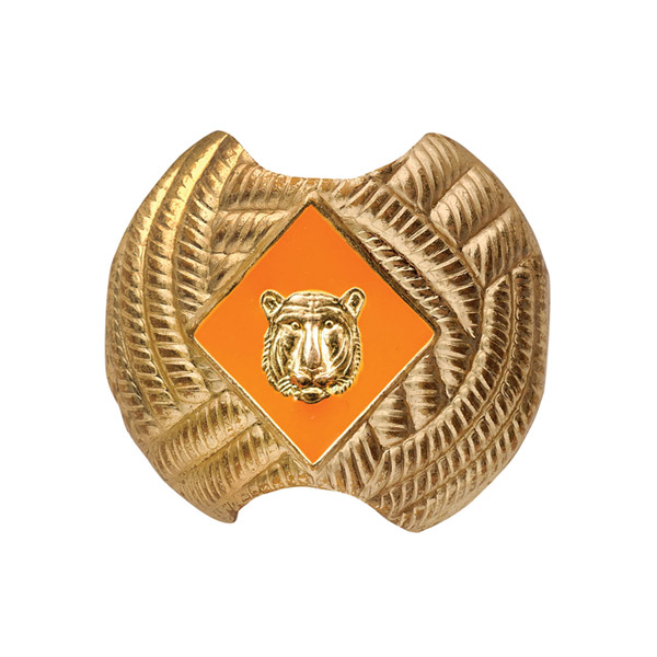 Tiger Slide