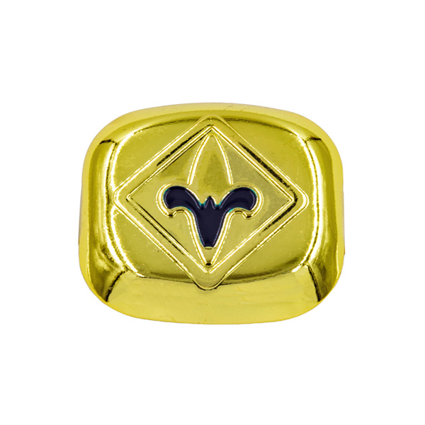 Webelos Slide