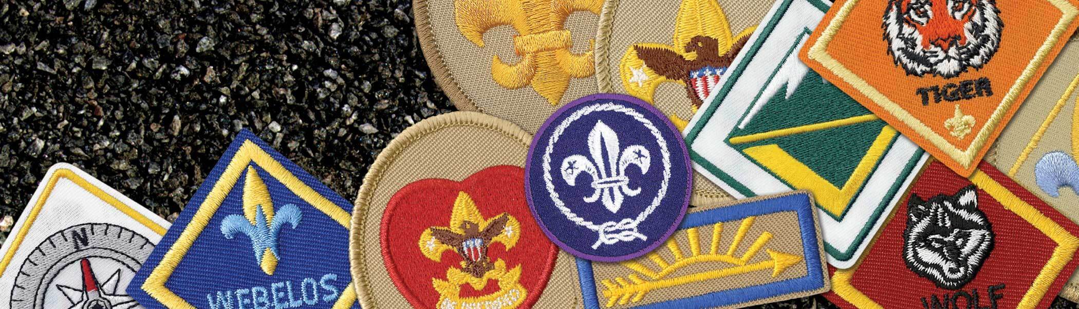 Insignia